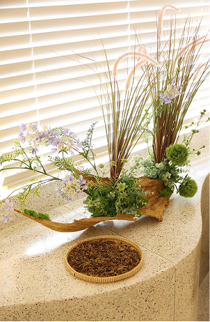 Thiết Kế Độc Quyền