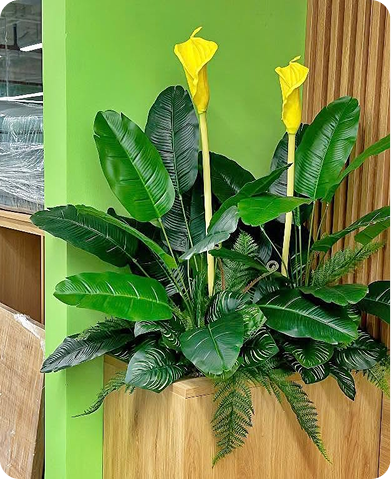 TRANG TRÍ MẢNG XANH Hubbiz.