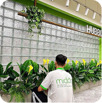 Dự án gallery