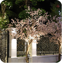 Dự án gallery