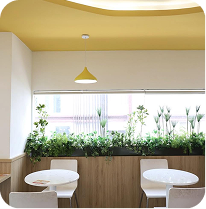 Dự án gallery