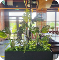 Dự án gallery