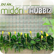 Dự án gallery