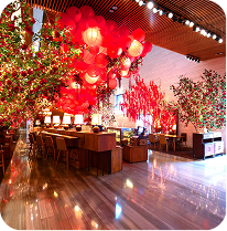 Dự án gallery