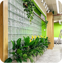 Dự án gallery